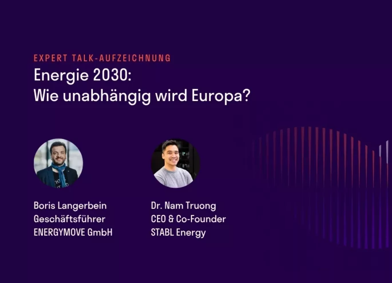 Expert Talk Aufzeichnung Status quo Energiewende