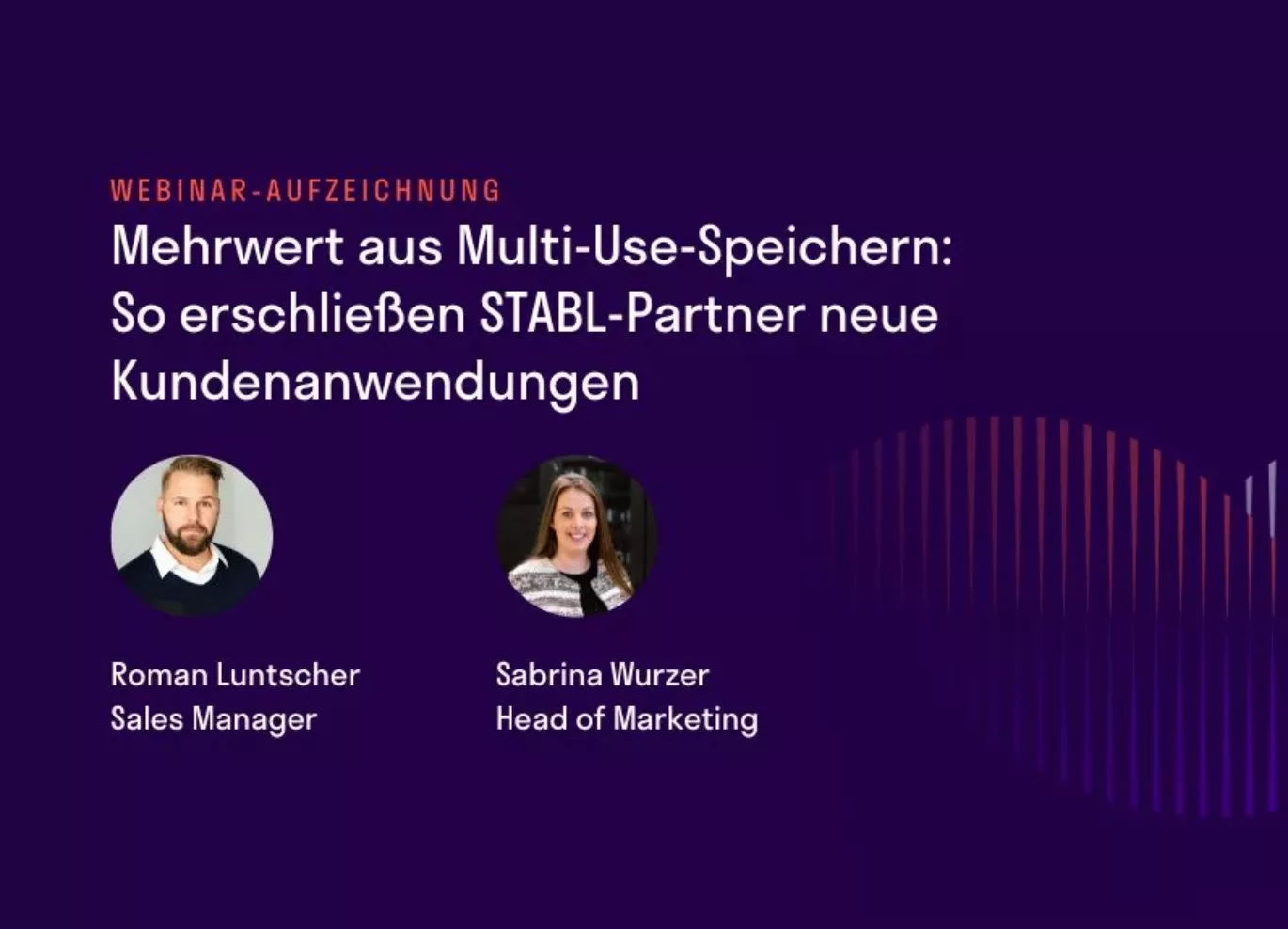 Webinar-Aufzeichnung zum Thema: Mehrwert aus Multi-Use-Speichern