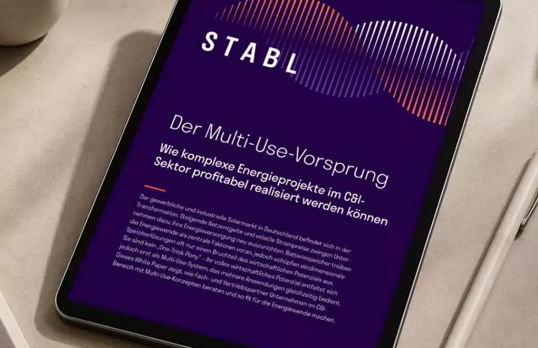 White Paper Multi-Use-Vorsprung für Partner